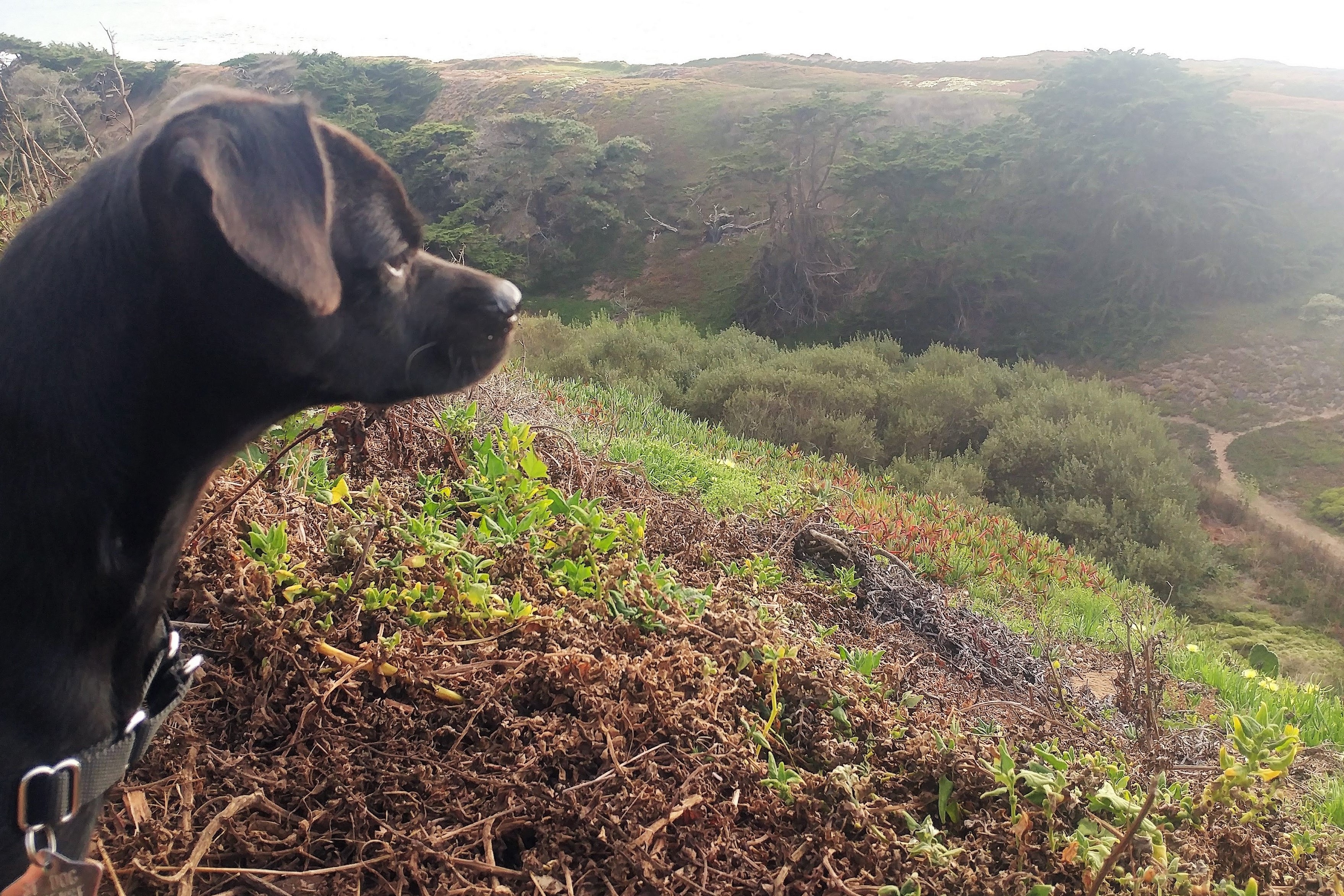 Thornton Vista Beach Hike